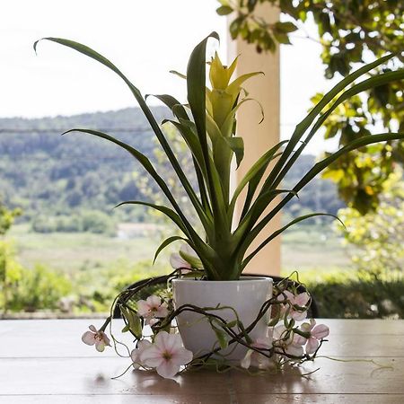 Apartment Gulic Supetarska Draga Luaran gambar