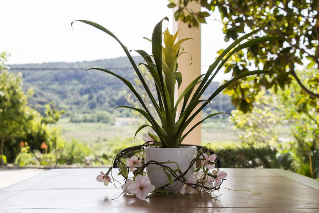 Apartment Gulic Supetarska Draga Luaran gambar